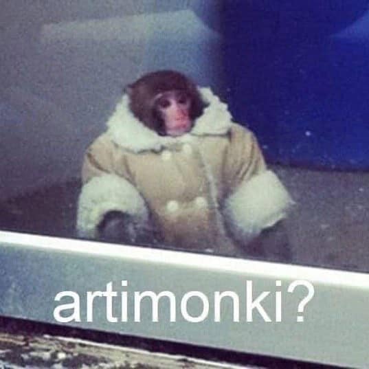 artimonki