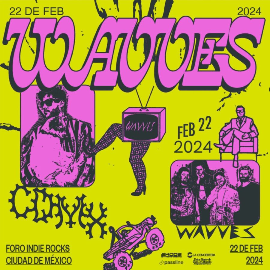 wavves flyer