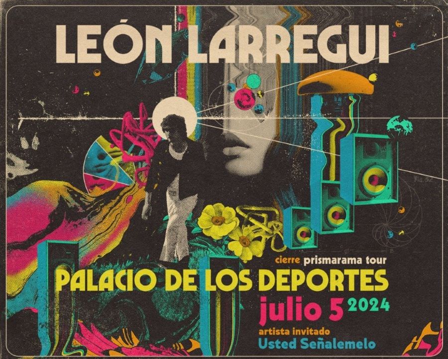 León Larregui Palacio