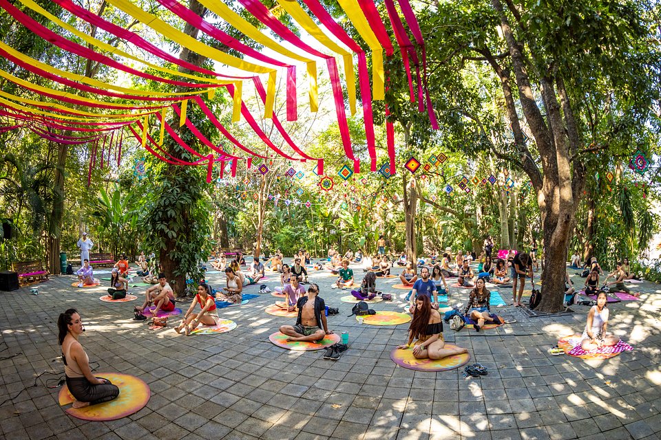 yoga bahidora 2025