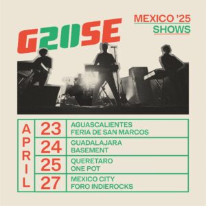 goose flyer ciudades