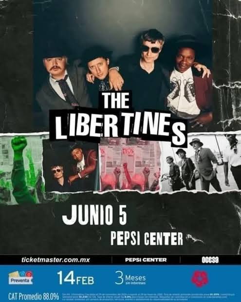 The Libertines Pepsi center