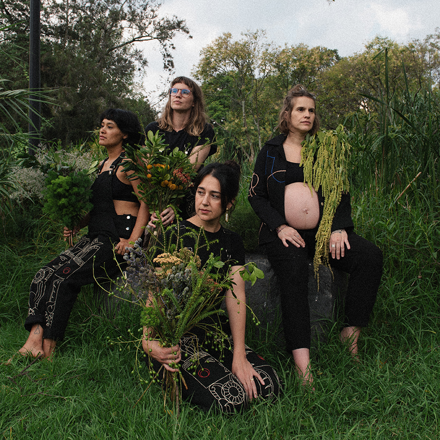 abierto de diseño 2025 cdmx maleza