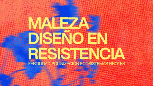 maleza abierto diseño cdmx