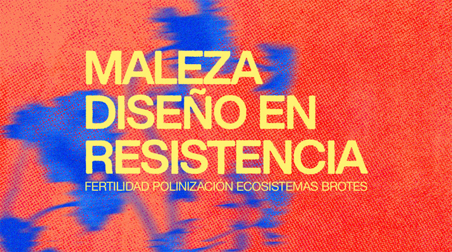 maleza abierto diseño cdmx