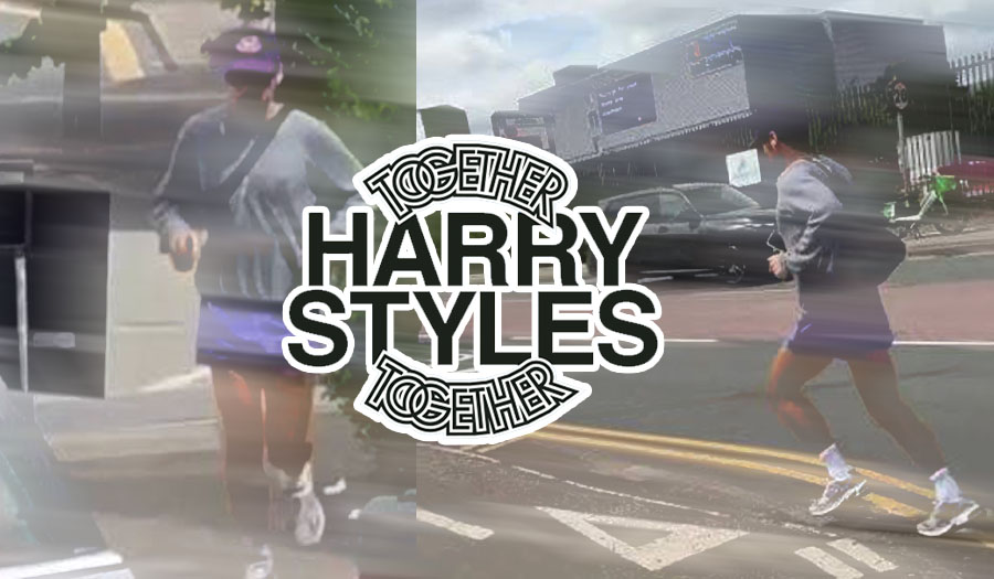 Harry Styles, Estadio GNP, conciertos CDMX, pop, Harry Styles México, sold out